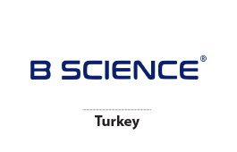 Partner 08
